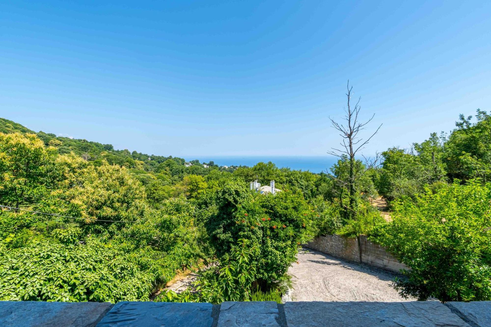 Guesthouse Papachristou Tsagarada Zewnętrze zdjęcie